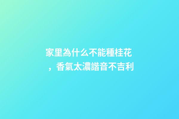 家里為什么不能種桂花，香氣太濃諧音不吉利